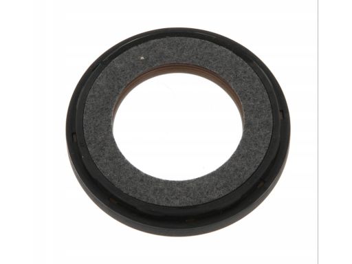 Uszczelniacz Wału Korbowego 20033889B