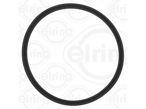 Pierścień Uszcz., Elast. Przewód Pow. Do 113.510