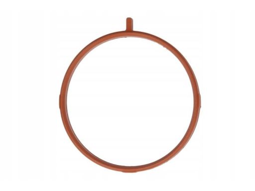 Uszczelka Rury Kolektora Dolotowego 364.550