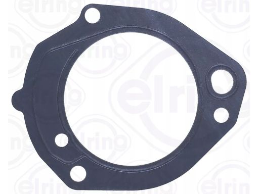 Uszczelka Pompy Paliwa 002.071