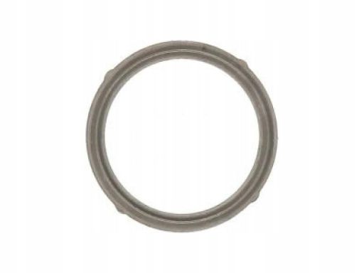 Uszczelnienie Zaworu Egr 367.120