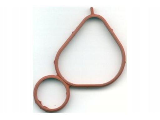 Uszczelka Kolektora Dolotowego 052.050