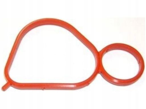 Uszczelka Kolektora Dolotowego 052.050