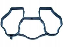 Uszczelka Kolektora Dolotowego 394.080