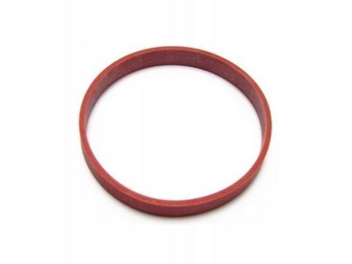 Uszczelnienie Zaworu Egr 424.850