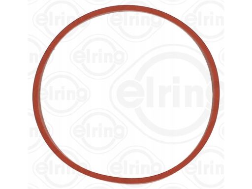 Uszczelnienie Zaworu Egr 424.850