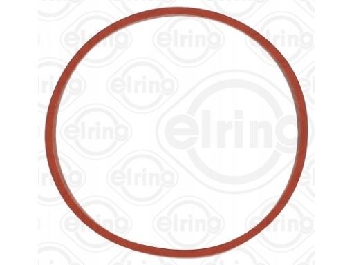 Uszczelnienie Zaworu Egr 424.850