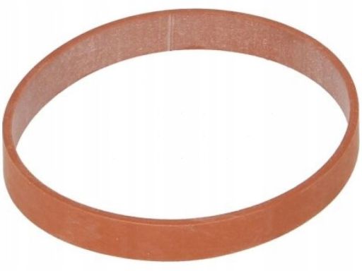 Uszczelnienie Zaworu Egr 424.850