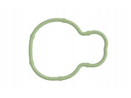 Uszczelka Kolektora Dolotowego 428.900