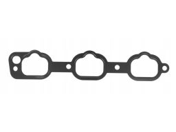Uszczelka Kolektora Dolotowego 104.610