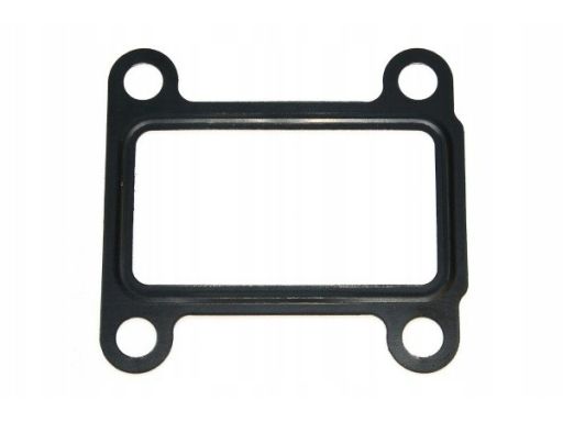 Uszczelnienie Zaworu Egr 454.030