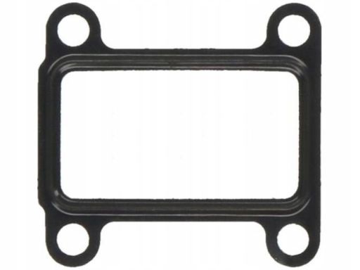 Uszczelnienie Zaworu Egr 454.030