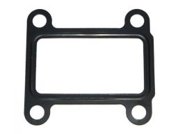 Uszczelnienie Zaworu Egr 454.030