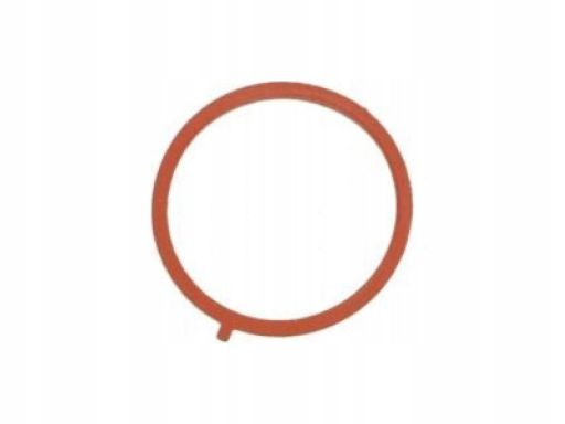 Uszczelka Kolektora Dolotowego 459.030