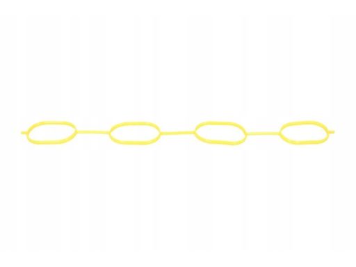 Uszczelka Kolektora Dolotowego 474.350