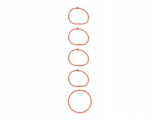 Zestaw Uszczelek Kolektora Dolotowego 11-38834-01