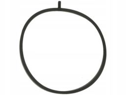 Uszczelka Kolektora Dolotowego 478.600