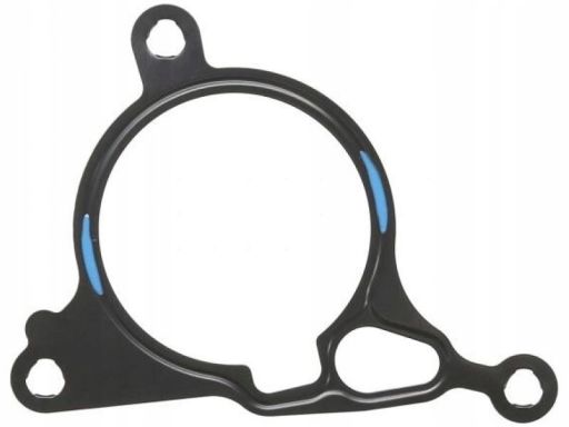 Uszczelka Pompy Podciśnieniowej 226.460