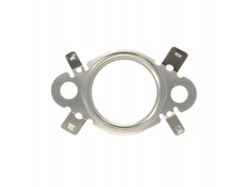 Uszczelnienie Zaworu Egr 521.600