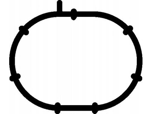 Uszczelka Kolektora Dolotowego 537.630