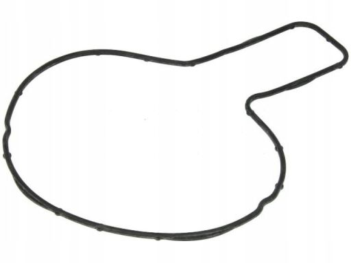 Uszczelka Pompy Cieczy Chłodzącej 545.790