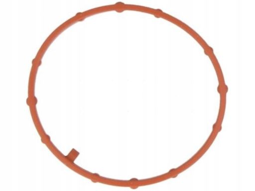 Uszczelka Przewodu Zaworu Egr 558.270