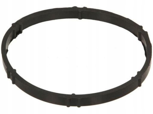 Uszczelka Rury Kolektora Dolotowego 687.650