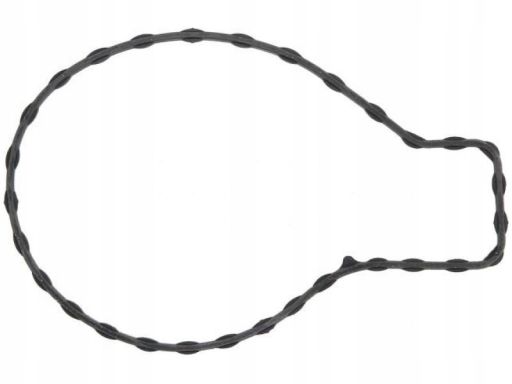 Uszczelka Pompy Cieczy Chłodzącej 699.690