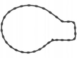 Uszczelka Pompy Cieczy Chłodzącej 699.690