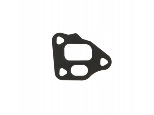 Uszczelnienie Zaworu Egr 689.310