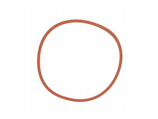 Uszczelka Rury Kolektora Dolotowego 725.200