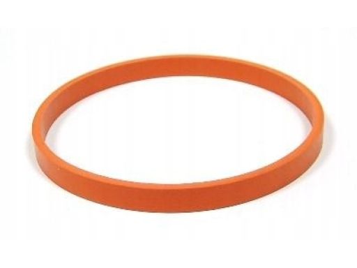 Uszczelka Rury Kolektora Dolotowego 725.200