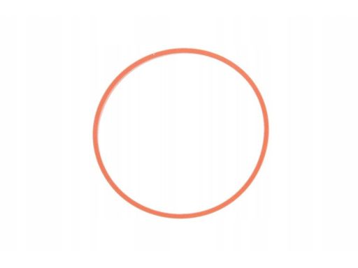 Uszczelka Rury Kolektora Dolotowego 773.860