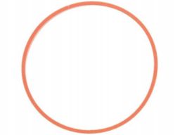 Uszczelka Rury Kolektora Dolotowego 773.860