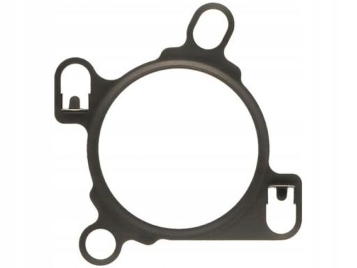 Uszczelnienie Zaworu Egr 721.140