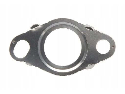 Uszczelnienie Zaworu Egr 728.870