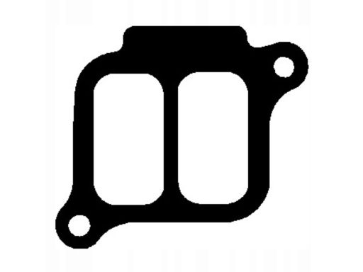 Uszczelka Kolektora Dolotowego 824.829
