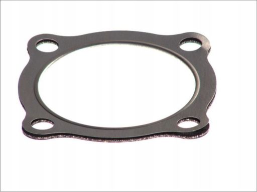 Uszczelka Turbosprężarki 891.207