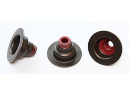 Uszczelniacz Trzonka Zaworu 090.970