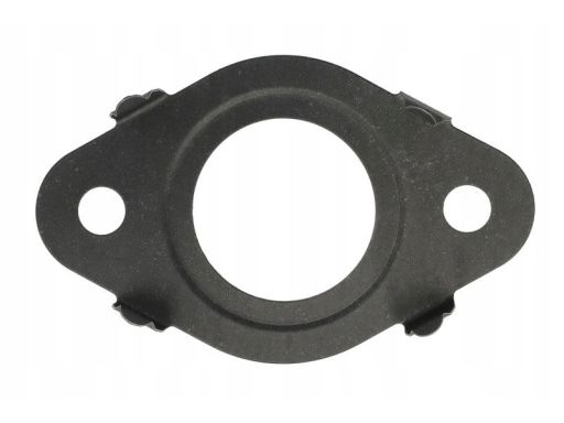 Uszczelnienie Zaworu Egr 854.240