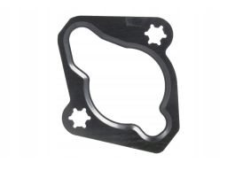 Uszczelka Napinacza Łańcucha Rozrządu 731.021