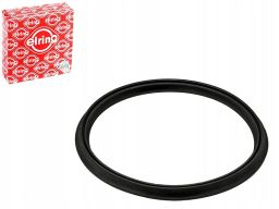 Pierścień Uszcz., Elast. Przewód Pow. Do 087.320