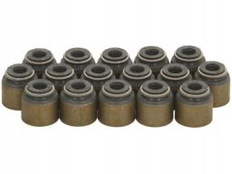 Zestaw Uszczelniaczy Trzonka Zaworów 12-10031-01