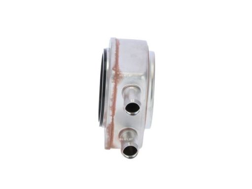 Chłodnica Oleju 31240