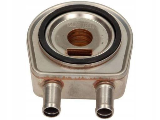 Chłodnica Oleju 31240