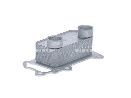 Chłodnica Oleju 31756