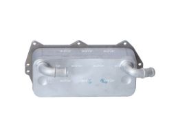 Chłodnica Oleju 31856