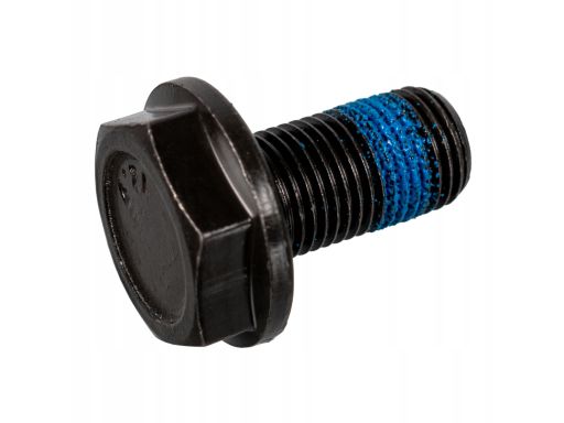 Fe170878 Śruba Koła Zamachowego M10X1Mm/19,5Mm Volvo 850, S70, S80 I,