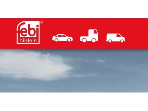 Fe27250 Zestaw Naprawczy Drążka Stabilizatora Przód L/P (17Mm) Pasuje