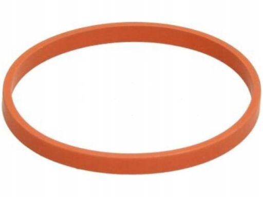 Uszczelka Rury Kolektora Dolotowego 006.070